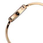 Titan Quartz Analog Champagne Dial Stainless Steel Strap Watch for Women - Image 3